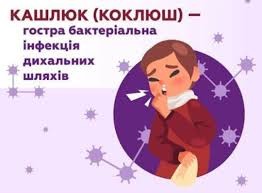 Подробнее о статье Кашлюк— це бактеріальне гостре інфекційне захворювання, яке перебігає як затяжний бронхіт з тяжкими нападами кашлю.